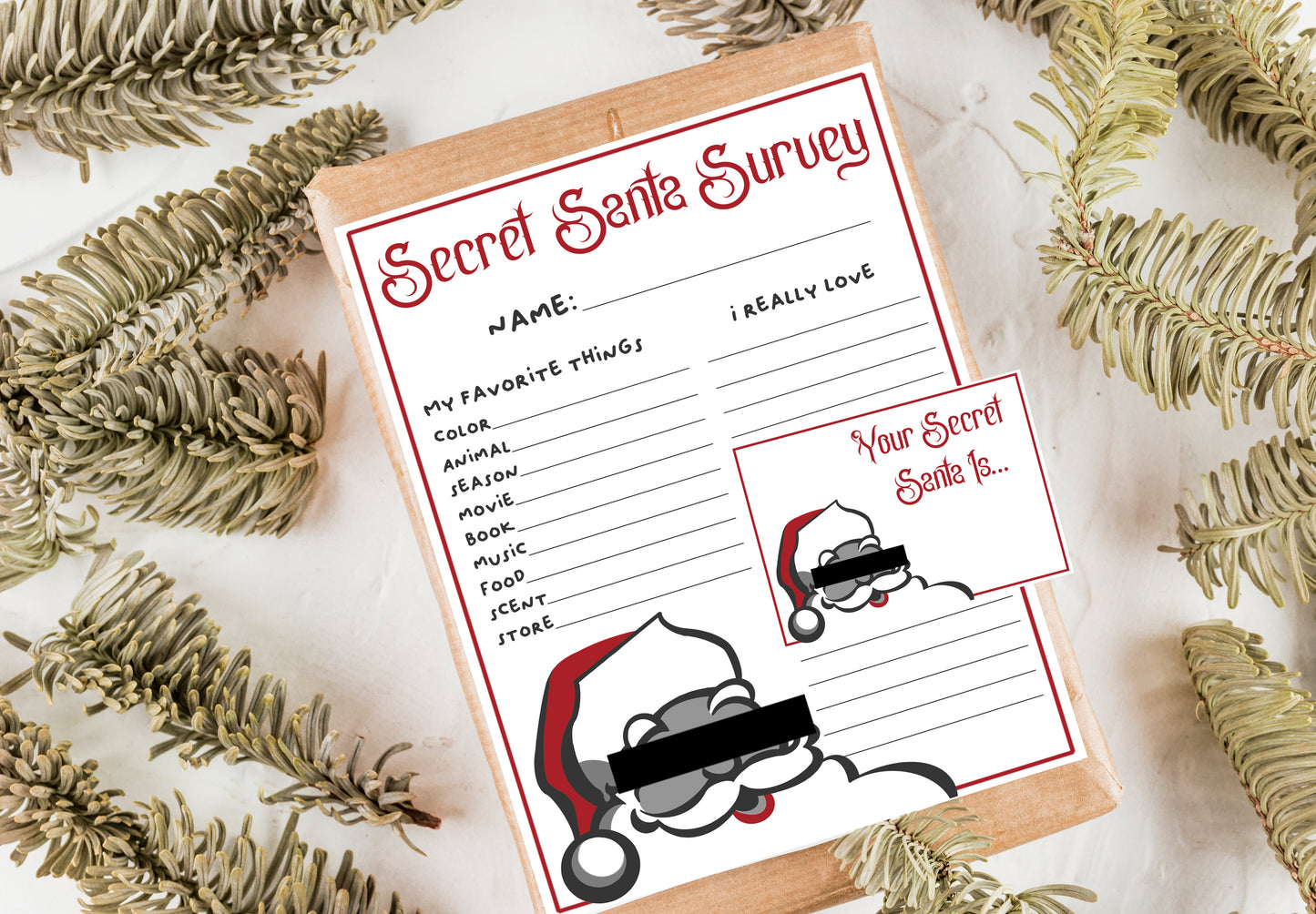 Secret Santa Questionnaire - Digital Download Questionnaire (ONLY)