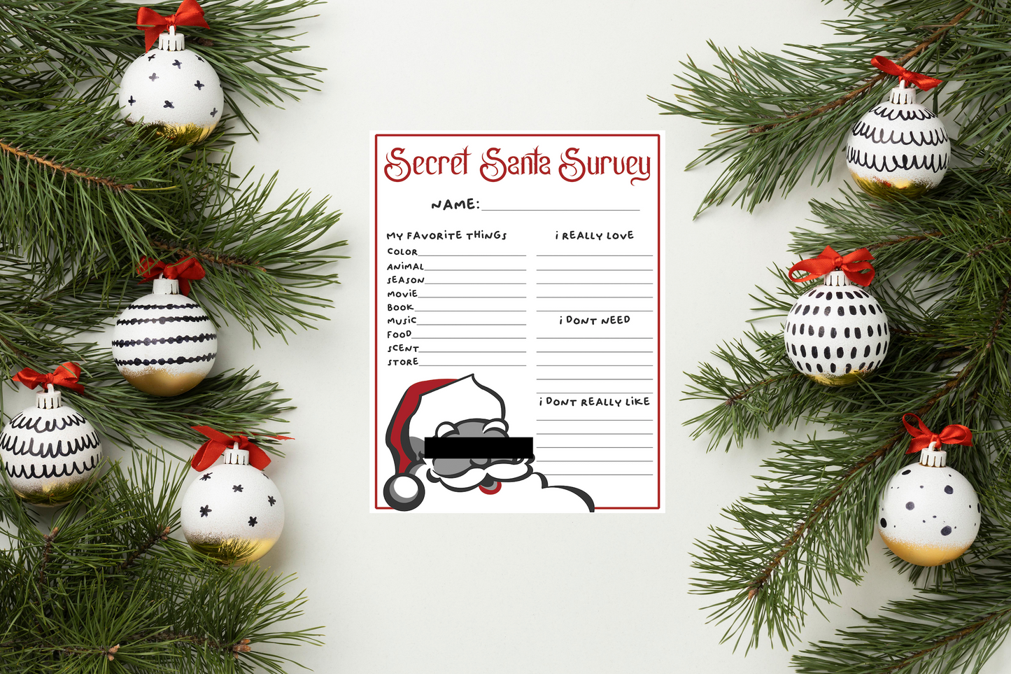 Secret Santa Questionnaire - Digital Download Questionnaire (ONLY)