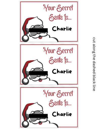 Secret Santa Invitation, Questionnaire, & Reveal Cards - Digital Download