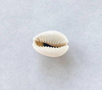 Cowrie Shell Croc Charm